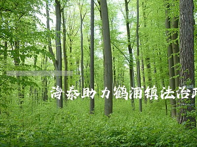 海泰助力鹤浦镇法治政府建设 海泰助力鹤浦镇法治政府建设