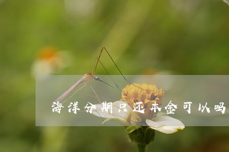 海洋分期只还本金可以吗 海洋分期只还本金可以吗