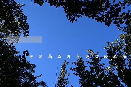 海洋局坚决纠查财经违法违纪行为 海洋局坚决纠查财经违法违纪行为