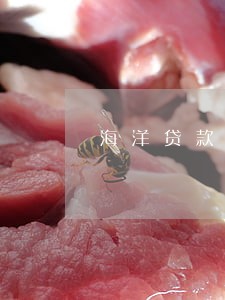 海洋贷款逾期一年结果 海洋贷款逾期一年结果