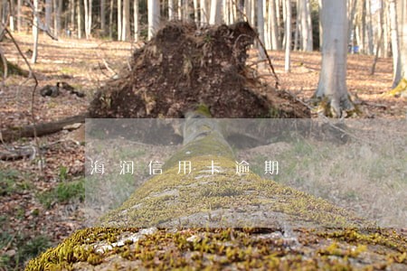 海润信用卡逾期 海润信用卡逾期