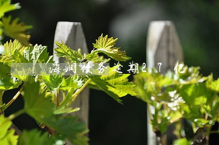 海润债务逾期27亿