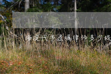 海淀代书遗嘱律师多少钱 海淀代书遗嘱律师多少钱