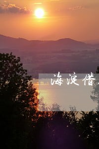 海淀借款合同纠纷律师网 海淀借款合同纠纷律师网