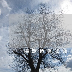 海淀债务律师咨询网站 海淀债务律师咨询网站