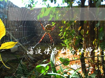 海淀债务纠纷律师咨询 海淀债务纠纷律师咨询