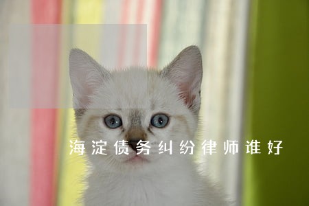 海淀债务纠纷律师谁好 海淀债务纠纷律师谁好