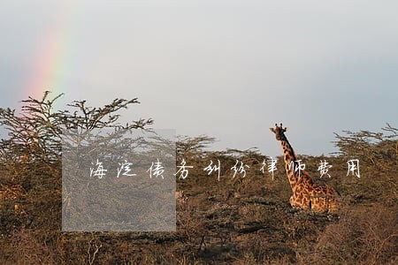 海淀债务纠纷律师费用 海淀债务纠纷律师费用