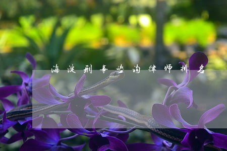 海淀刑事咨询律师排名