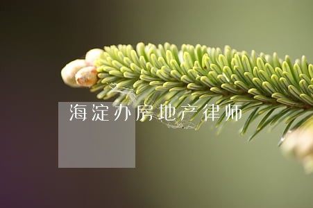 海淀办房地产律师 海淀办房地产律师