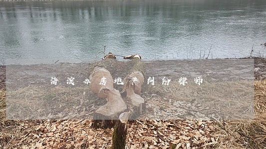海淀办房地产纠纷律师 海淀办房地产纠纷律师
