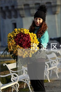 海淀区侵权纠纷律师费用 海淀区侵权纠纷律师费用