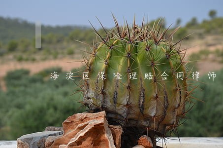 海淀区保险理赔合同律师法律服务 海淀区保险理赔合同律师法律服务