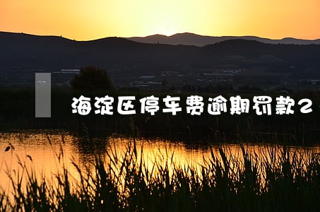 海淀区停车费逾期罚款200 海淀区停车费逾期罚款200