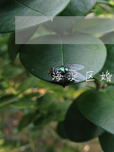 海淀区婚姻家事纠纷律师