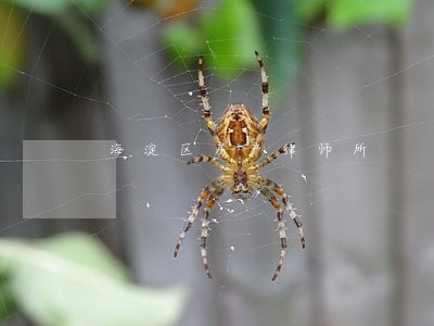 海淀区房产律师所 海淀区房产律师所