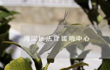 海淀区法律援助中心 海淀区法律援助中心
