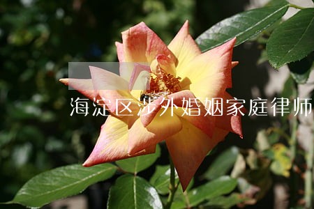 海淀区涉外婚姻家庭律师 海淀区涉外婚姻家庭律师