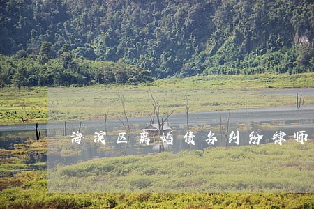 海淀区离婚债务纠纷律师代理费