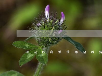 海淀区离婚律师起诉费用 海淀区离婚律师起诉费用