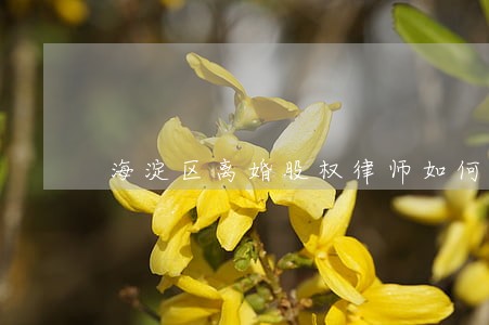 海淀区离婚股权律师如何收费 海淀区离婚股权律师如何收费