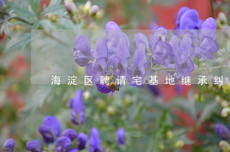 海淀区聘请宅基地继承纠纷律师 海淀区聘请宅基地继承纠纷律师