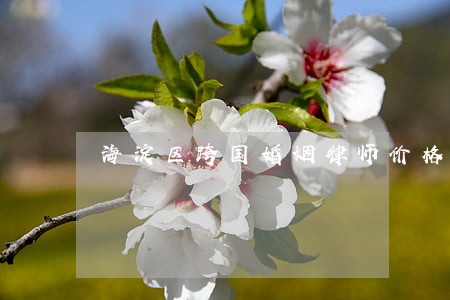 海淀区跨国婚姻律师价格 海淀区跨国婚姻律师价格