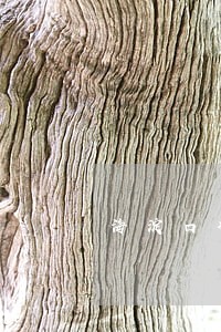 海淀口碑好的离婚律师房山 海淀口碑好的离婚律师房山
