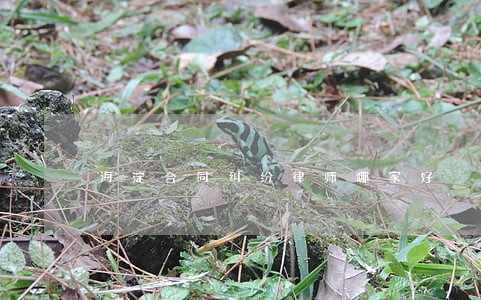 海淀合同纠纷律师哪家好 海淀合同纠纷律师哪家好
