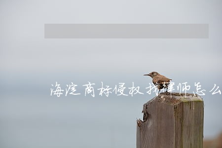 海淀商标侵权找律师怎么起诉 海淀商标侵权找律师怎么起诉