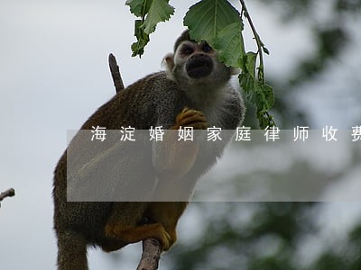 海淀婚姻家庭律师收费 海淀婚姻家庭律师收费