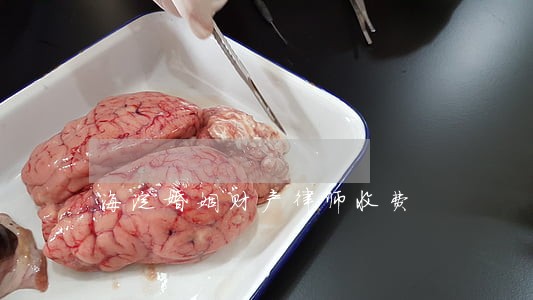 海淀婚姻财产律师收费 海淀婚姻财产律师收费