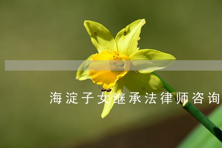 海淀子女继承法律师咨询费用 海淀子女继承法律师咨询费用