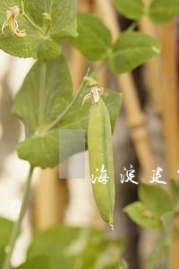 海淀建筑合同纠纷律师出庭收费 海淀建筑合同纠纷律师出庭收费