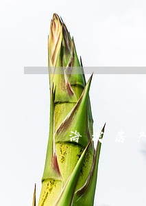 海淀房产官司律师地址 海淀房产官司律师地址