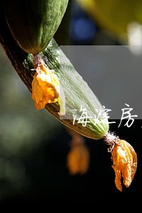 海淀房产律师排行