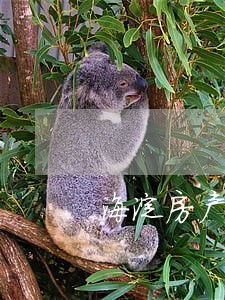海淀房产律师收费标准