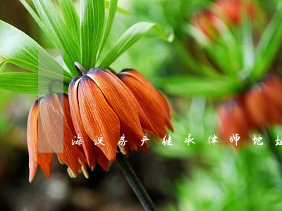 海淀房产继承律师地址 海淀房产继承律师地址