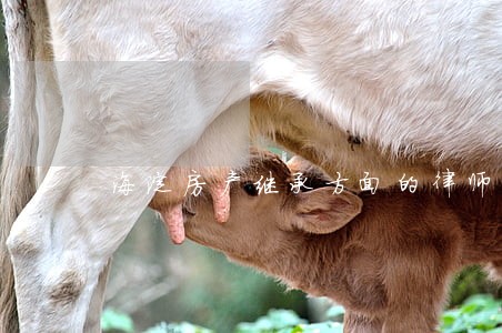 海淀房产继承方面的律师免费电话 海淀房产继承方面的律师免费电话