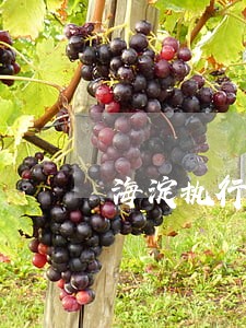 海淀执行法官联系方式 海淀执行法官联系方式