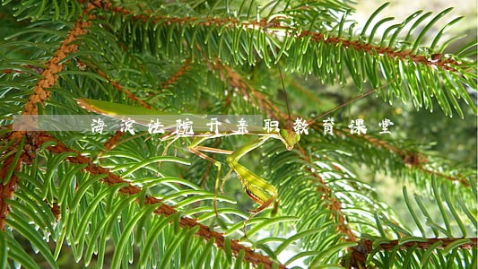 海淀法院开亲职教育课堂 海淀法院开亲职教育课堂