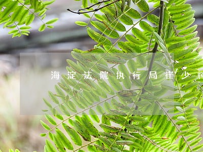 海淀法院执行局崔少辉 海淀法院执行局崔少辉