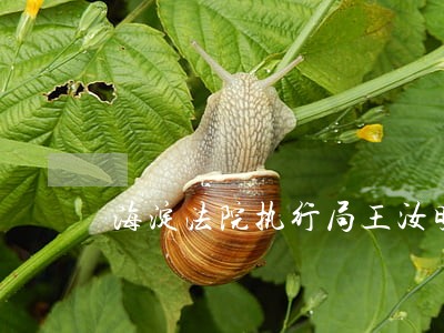海淀法院执行局王汝明 海淀法院执行局王汝明