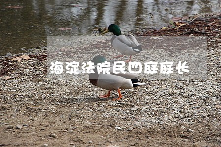 海淀法院民四庭庭长 海淀法院民四庭庭长
