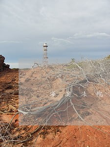 海淀法院法官王东厢 海淀法院法官王东厢