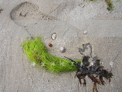 海淀法院王永章任命 海淀法院王永章任命