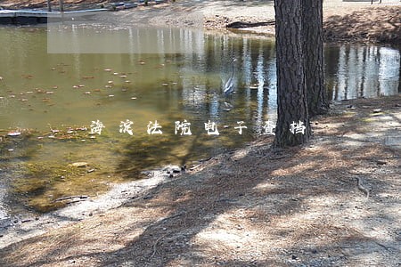 海淀法院电子查档 海淀法院电子查档