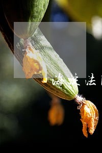 海淀法院立案后程序 海淀法院立案后程序