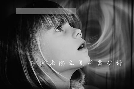 海淀法院立案所需材料 海淀法院立案所需材料