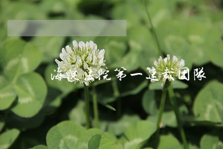 海淀法院第一速裁团队 海淀法院第一速裁团队